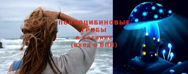 мяу мяу кристалл Корсаков
