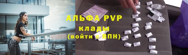 мяу мяу кристалл Корсаков