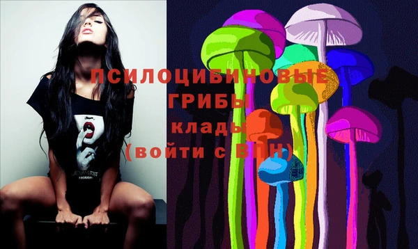 мяу мяу кристалл Корсаков